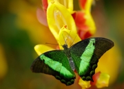 雷火电竞充值-德里赫特之夜，在心跳间隙拉开致命距离