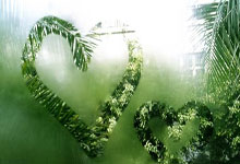 雷火电竞中国-西雅图海湾者队长激励全队，挑战强敌士气高昂