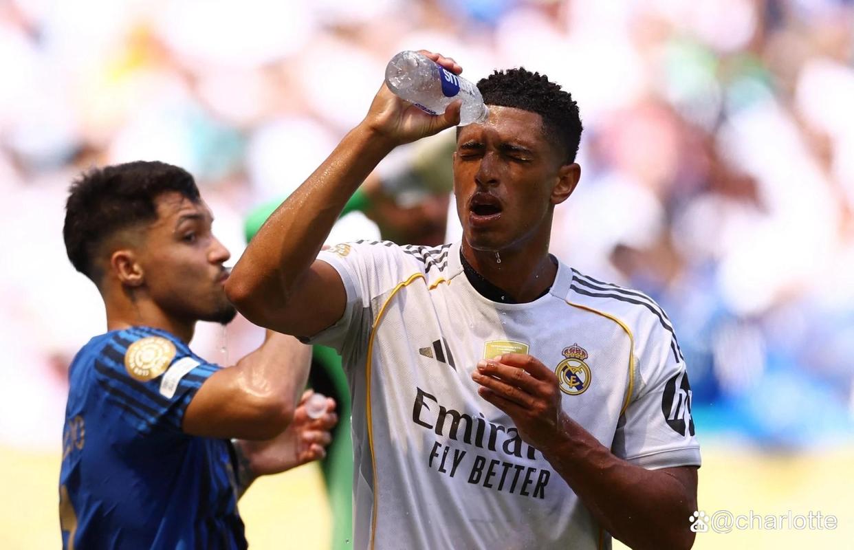 包含莱比锡力克皇马，哈兰德补时绝平意甲的词条