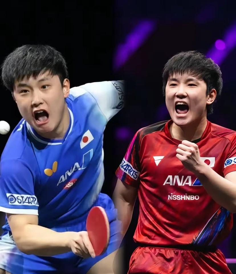 日本乒乓球队翻盘法国乒乓球队，张本智和爆发神勇的简单介绍